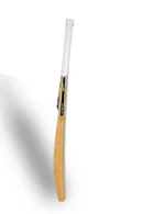Tennis Popular willow